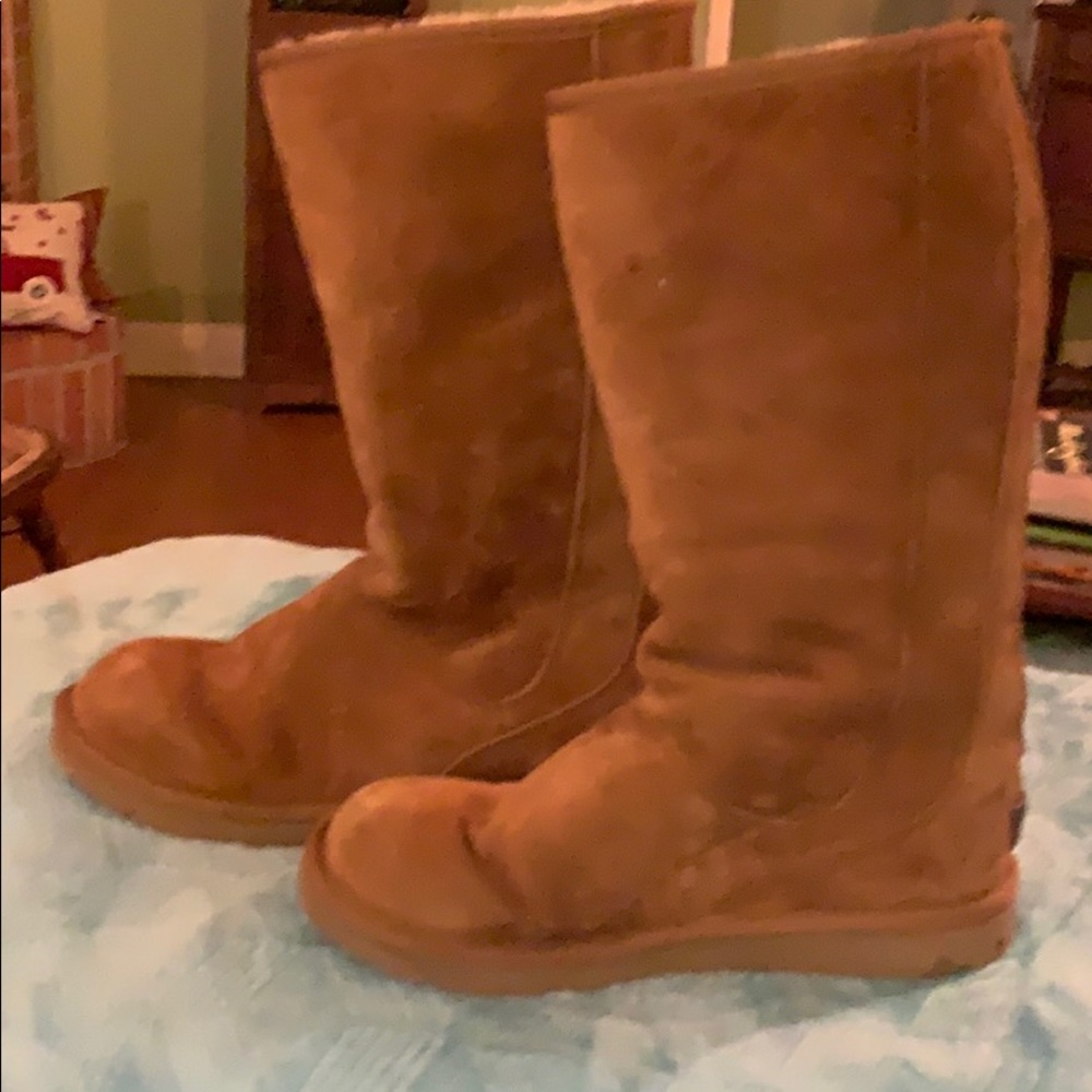 Ugg chestnut color boots.